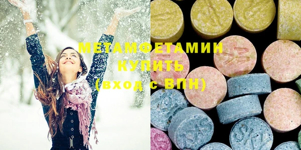 индика Горняк