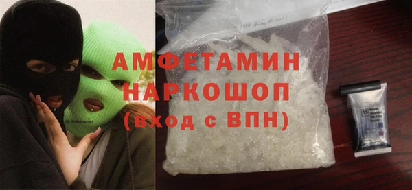 индика Горняк