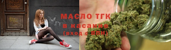 индика Горняк