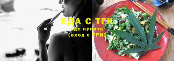 индика Горняк