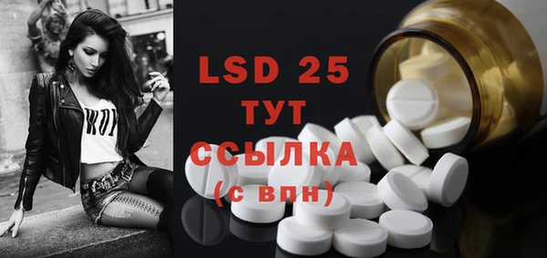 индика Горняк