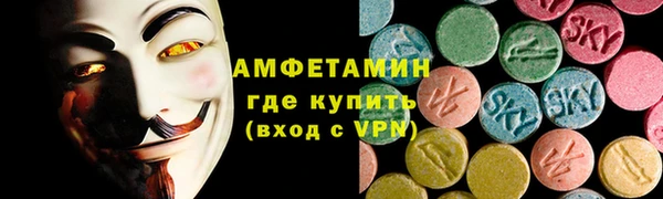 индика Горняк