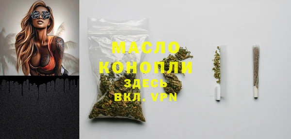 индика Горняк
