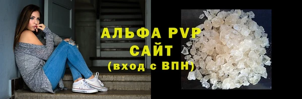 индика Горняк