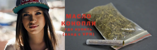 индика Горняк