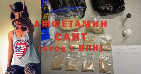 индика Горняк