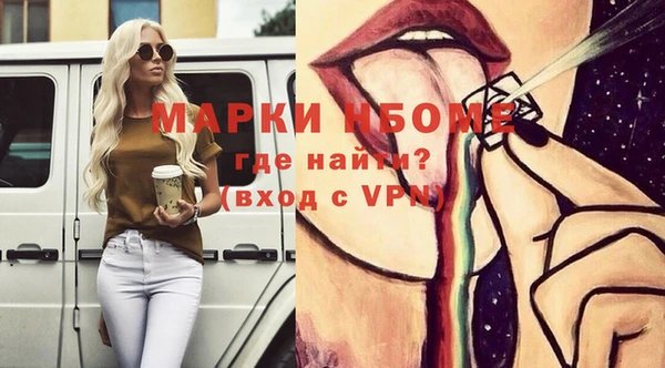 индика Горняк