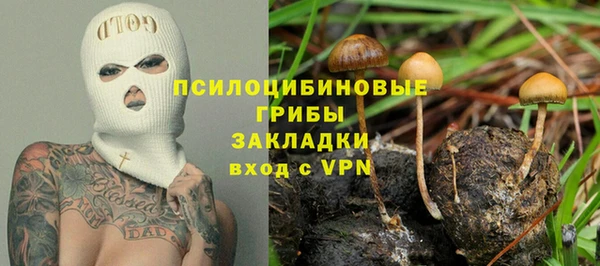 герыч Горнозаводск