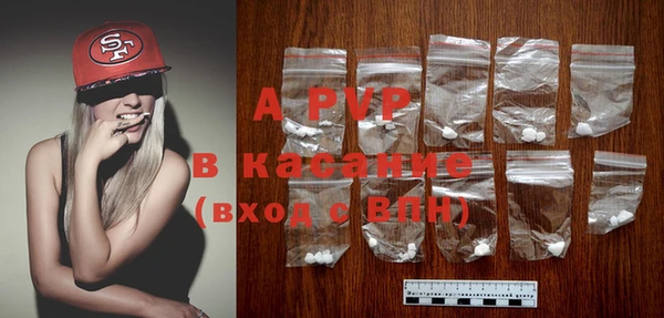 индика Горняк