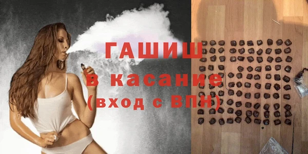 индика Горняк