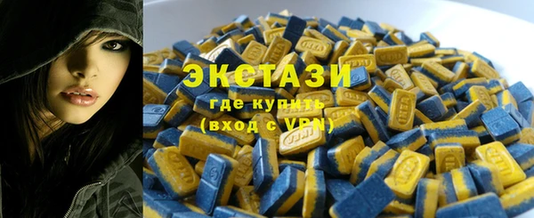 дживик Вязьма