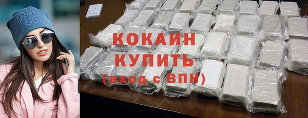 индика Горняк