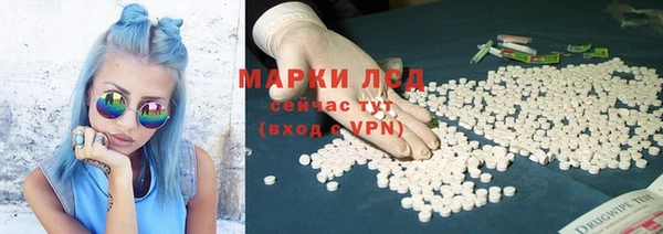 дживик Вязьма