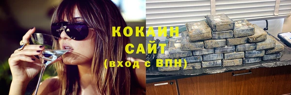 mdpv Вяземский