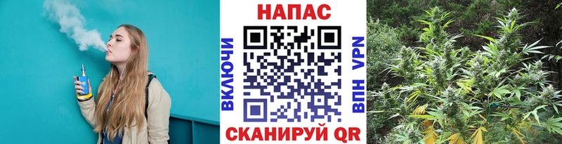 наркошоп  Заволжье  Шишки марихуана тримм 